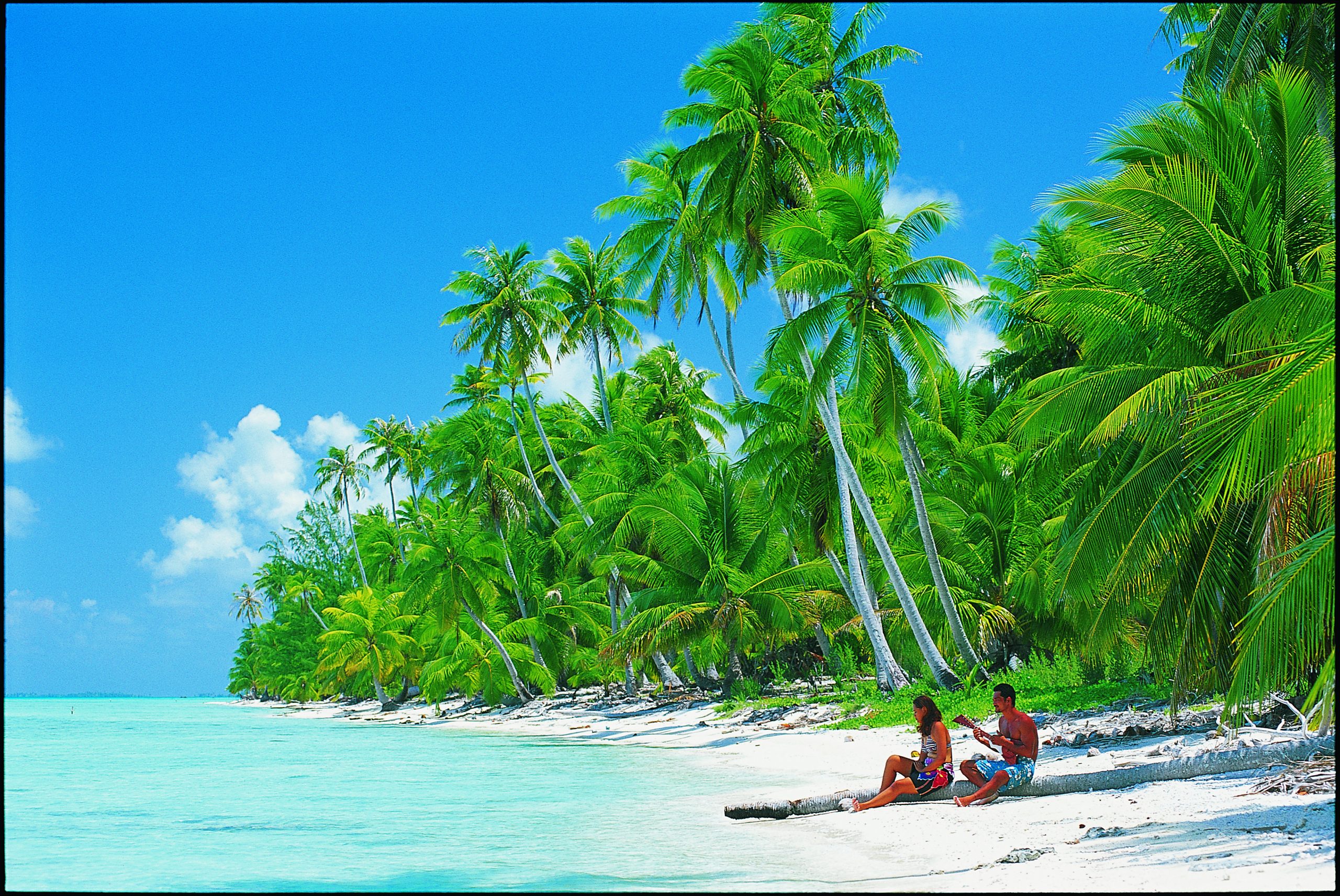 paradise tours tahiti